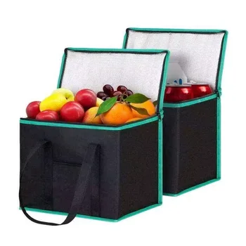 Non-Woven Double-Bottle Thermal Carrier