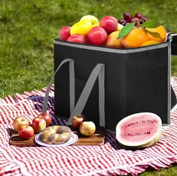 Non-Woven Double-Bottle Thermal Carrier