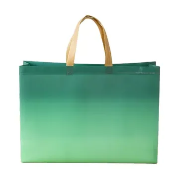 Size Non-Woven Shopping Bag