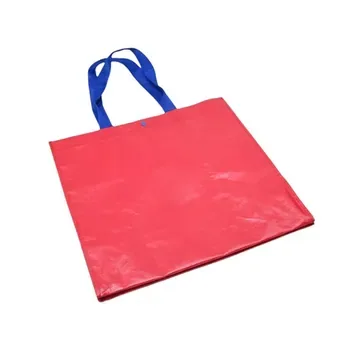 Foldable PP Woven Logo Packaging Bag