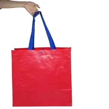 Foldable PP Woven Logo Packaging Bag