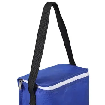 Custom Waterproof Non-Woven Insulated Lunch Bag