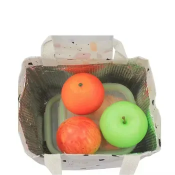 Canvas Breastmilk Bottle Lunch Cooler