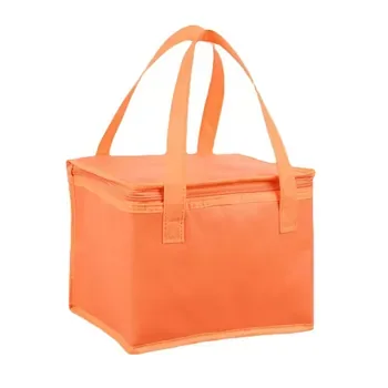 Custom Non-Woven Insulated Lunch Bag