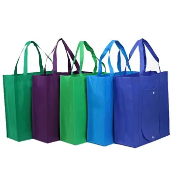 Foldable Non-Woven Gift Carrier