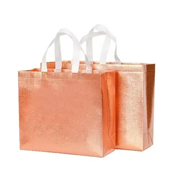 Large Handled Non-Woven Outdoor Promotion Bag