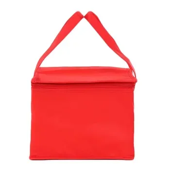 Custom Insulated Non-Woven Cooler Bag ZG221227