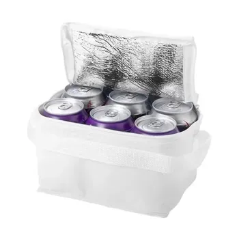 Custom Insulated Non-Woven Lunch Cooler Bag ZG20210918M3