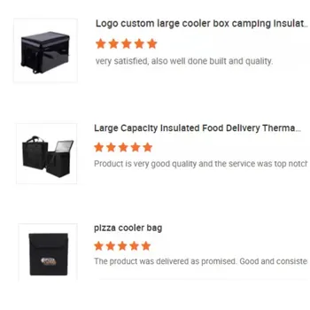 Custom Waterproof Insulated 600D Lunch Cooler Bag ZG220714